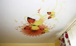 Опънати тавани фотопечат (100 интересна снимка дизайн) (снимка) Опънати тавани фотопечат (100 интересна снимка дизайн)