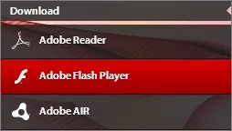 Не може да инсталирате Adobe Flash Player, компютърът ви какво да правя
