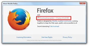 Не може да инсталирате Adobe Flash Player, компютърът ви какво да правя