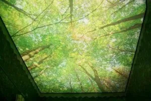 Окачен таван с фотопечат, снимка до тавана 