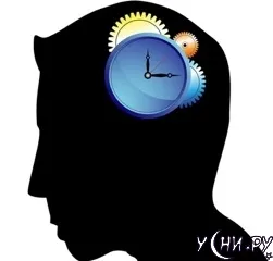 Sleep melatonin hormon termelődik, és hol, mit tartalmaz