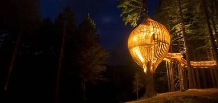 Fészkek az emberek és más kivételes lakás a fák (fő) Nest az emberek és más hihetetlen fa házak
