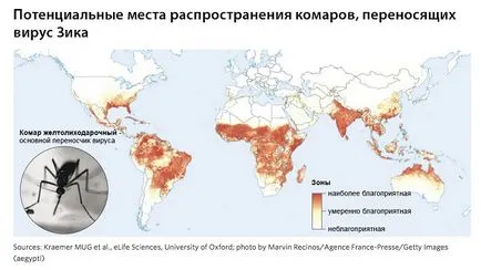 A globális klímaváltozás felgyorsul, maglipogoda (megy) A globális klímaváltozás gyorsul, maglipogoda
