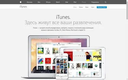 Google Play vagy az App Store-ban