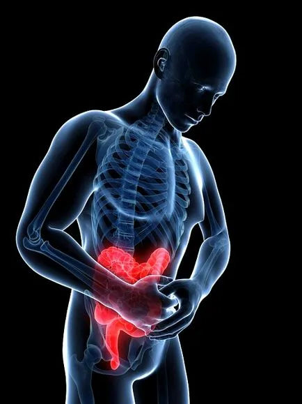 Hirudotherapy, jelzések és ellenjavallatok (tumorok az emberi szervezetben) Hirudotherapy, jelzések és ellenjavallatok
