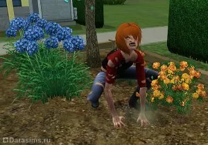 Върколаци върколаци проклятие Lhikan в Sims 3 Supernatural