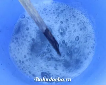 ягодов хоботник обработка на нашия опит, давайки