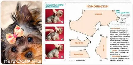 Йоркширски териер за дрехи със собствените си ръце, моделът (снимка)
