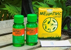 Смятате стоножка на човека е опасно и как да се отървете от насекомо