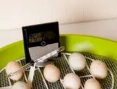 Bird Repeller с Схемата за ръце ултразвукови Repeller гълъби като средство да се направи