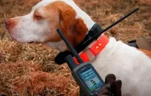 Куче Repeller ръце - ultrazvokovogo Repeller верига (Repeller) Куче Repeller с ръцете си - схемата ultrazvokovogo Repeller