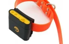 Куче Repeller ръце - ultrazvokovogo Repeller схема (схема) Куче Repeller с ръцете си - схемата ultrazvokovogo Repeller