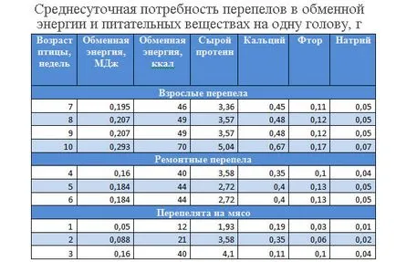 Пъдпъдък пълен развъждане и отглеждане технология
