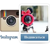 Защо кучето излезе от къщата, причинява, знаци