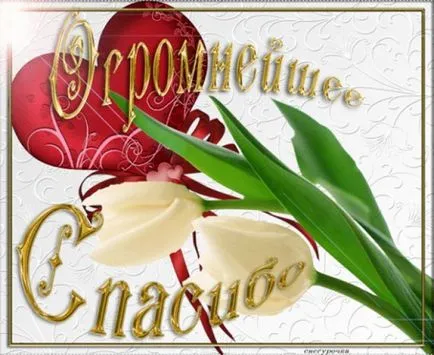 Защо си толкова красива