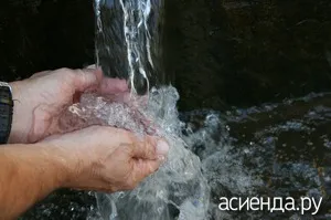 Ползи и вреди на коприва изгаряния