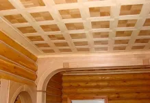 Таванът в материалите страната и снимка, облицовки, поразява лигавицата, какво да се прави със собствените си ръце