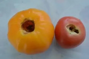 Hernyók eszik paradicsomot