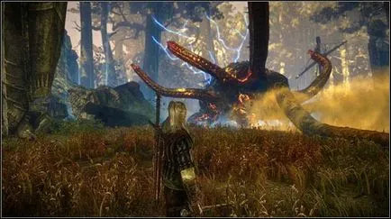 Passage Witcher 2