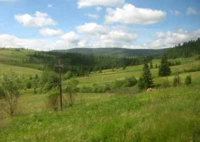 Plains характеристики и видове