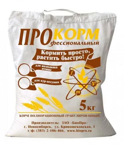 Селекция и повишаване на фазани като бизнес у дома