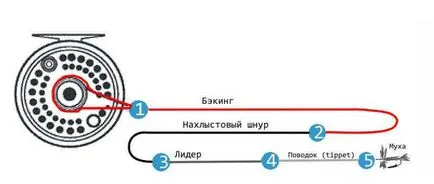 Fly риболов за начинаещи
