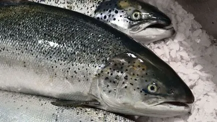 Риба и морски дарове в Тайланд видове морски дарове