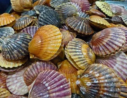 Риба и морски дарове в Тайланд видове морски дарове