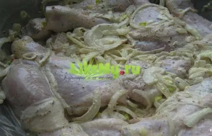 Най-вкусна марината за барбекю пилешко месо е толкова мек