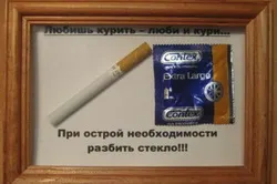 семейния бизнес на от земята и се отличава съвети