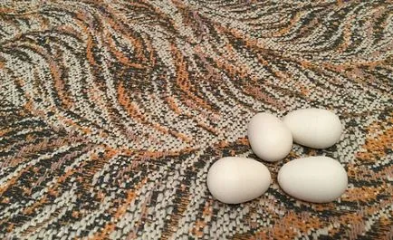 Колко дни, за да се излюпят кокоши яйца описание, снимки и видео преглед