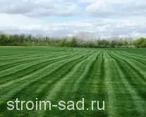 Изграждане на градина, продукти за ландшафтен дизайн - всичко ландшафтен дизайн