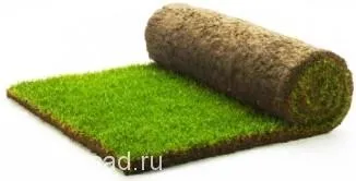 Изграждане на градина, продукти за ландшафтен дизайн - всичко ландшафтен дизайн