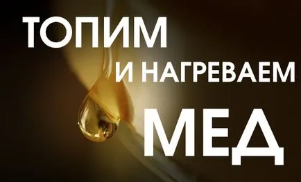 Начини за защита от мравки в кошер