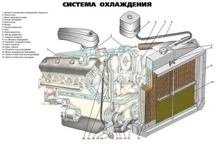 В структурата на превозното средство - наръчник за начинаещи