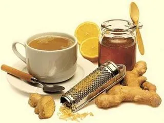 Ginger a konyhában