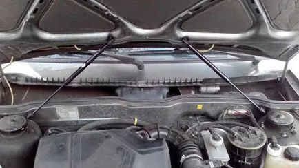 Tuning вази газ качулка спира в WHA в 2108 със собствените си ръце, вази ремонт
