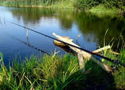 Риболовен прът с ръцете си