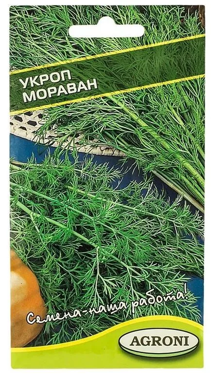 Копър на балкона на това как да се засадят и да растат
