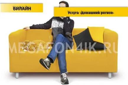Услугата е началната района на Beeline - свържете, изключете, както и описание на услугите за дома площ