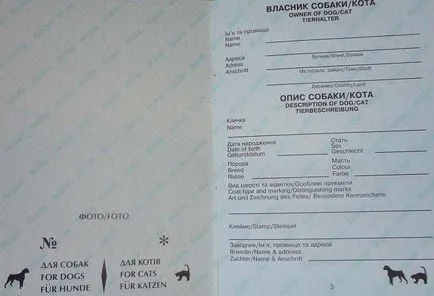 Ветеринарен сертификат за котки Защо имаме нужда, дизайн, цена - murkote за котки и котки