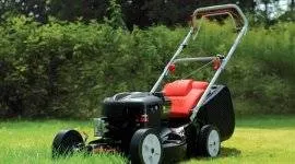 Отглеждане краставици на перваза на прозореца съвети и снимки
