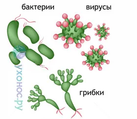 Нозокомиална инфекция (HAI) предотвратяване, патогени