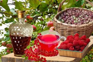 Вино от грозде у дома прости рецепти