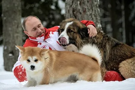 Владимир Путин - биография, личен живот, снимка, кариера, възраст, политически и последните новини 2017