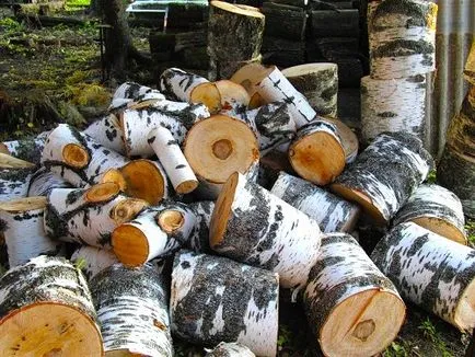 Гъби растат в градината особено се грижат за растенията в градината на собствените си ръце, и снимки (гъбички) Гъби растат в градината особено се грижат за растенията в градината на собствените си ръце, и снимки