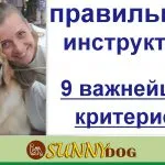 Вредни лакомства - бисквити за кучета и обучение куче