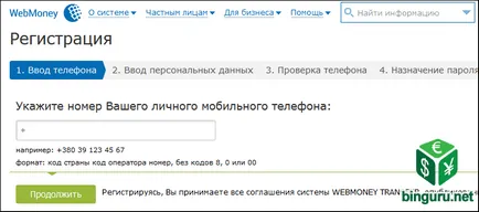 WebMoney какво е това и как да се използва