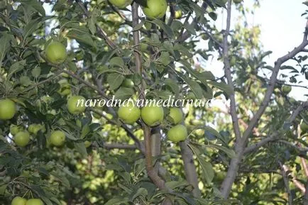 Apple за кожата