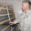 Сюжетът на ангина в дете и възрастен